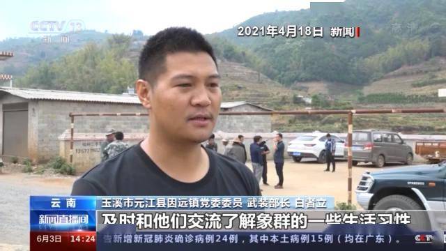 2025年新澳门和香港天天开好彩,精选解析、专家解析解释与落实-警惕虚假宣传-精选解析、专家解析解释与落实