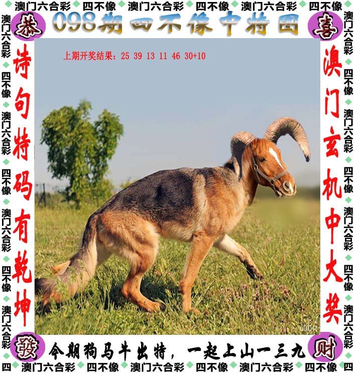 2025澳门与香港精准正版免费四不像,全面释义与,全面释义、专家解析解释和落实-警惕虚假宣传-全面释义、专家解析解释和落实